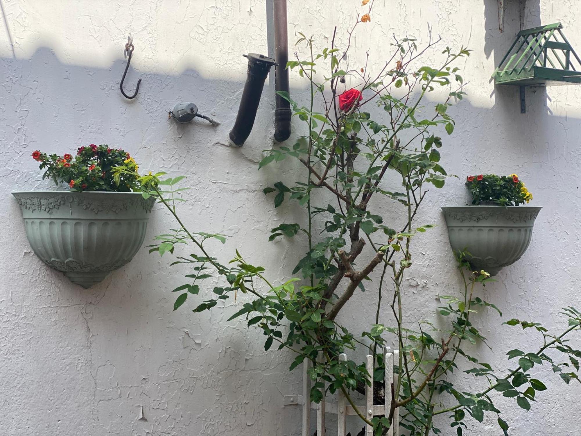 Nordwindoase Daire Grünendeich Oda fotoğraf
